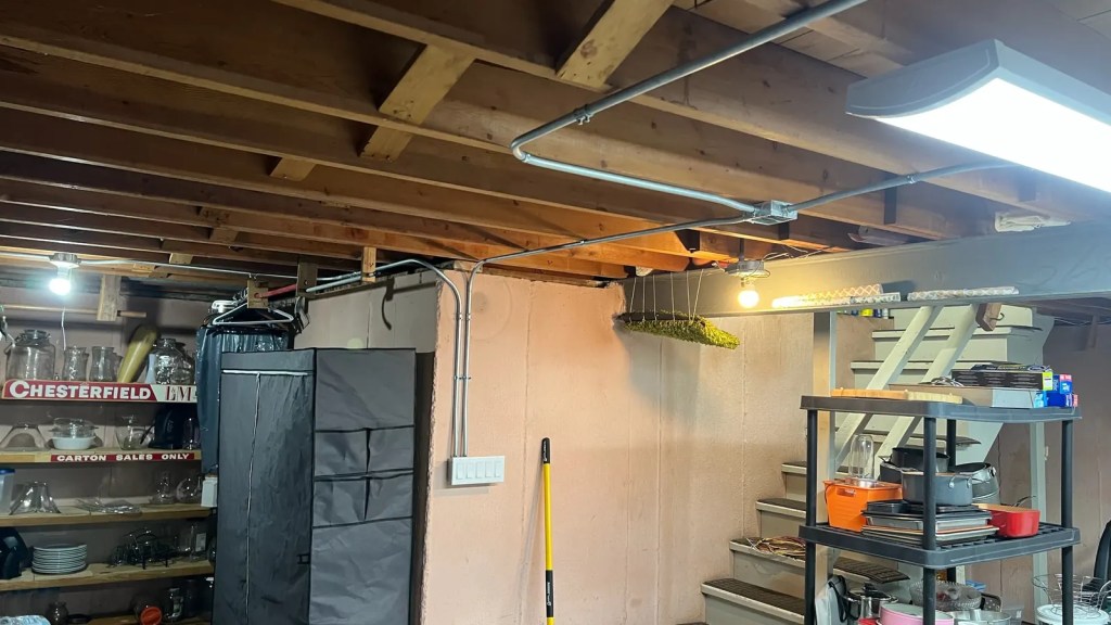 Basement storage lighting